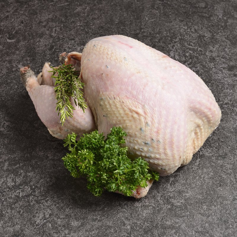 English Woodland Bronze Free Range Turkey